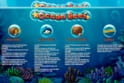 Ocean Reef