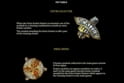 Lost Relics