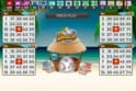 Beach Bingo