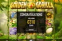 Golden Gorilla