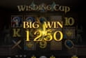 Wishing Cup