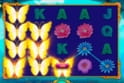 Butterfly Staxx 2