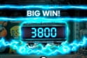 Wild-O-Tron 3000