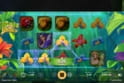 Wings of Riches