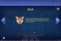 Codex of Fortune