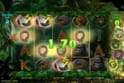 Gorilla Kingdom