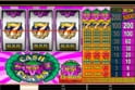 Cash Clams
