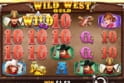 Wild West Gold™