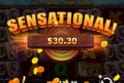 Safari King™