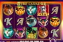 The Catfather™