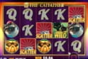 The Catfather™