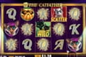 The Catfather™