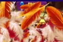 Chicken Chase