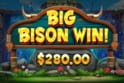 Release the Bison