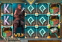 Viking's Conquest