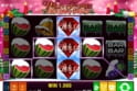 Wild Rubies Christmas Edition