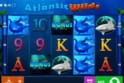 Atlantic Wilds