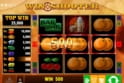 Win Shooter