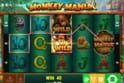Monkey Mania