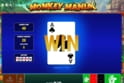 Monkey Mania