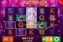 Cutie Cat Crazy Chicken Shooter