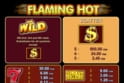 Flaming Hot