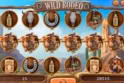 Wild Rodeo