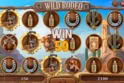 Wild Rodeo