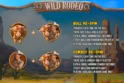 Wild Rodeo