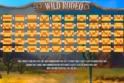 Wild Rodeo