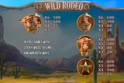 Wild Rodeo