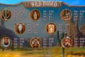 Wild Rodeo
