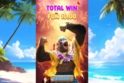 Surf Monkey