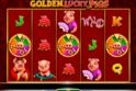 Golden Lucky Pigs
