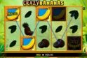Crazy Bananas