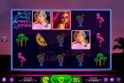 Miami Nights