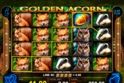 Golden Acorn