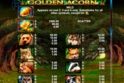 Golden Acorn