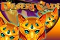 Desert Cats