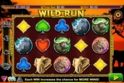 Wild Run