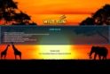 Scratch Wild Run
