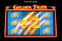 Golden Tiger