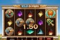 Wild Scarabs