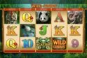 Wild Orient