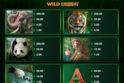 Wild Orient