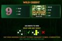 Wild Orient