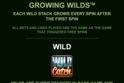 Wild Catch