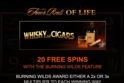 The Finer Reels of Life