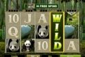 Untamed Giant Panda