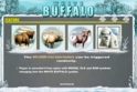 White Buffalo